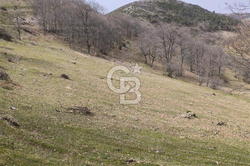 Bursa iznik İhsaniyede satılık tarla