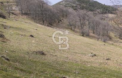 Bursa iznik İhsaniyede satılık tarla