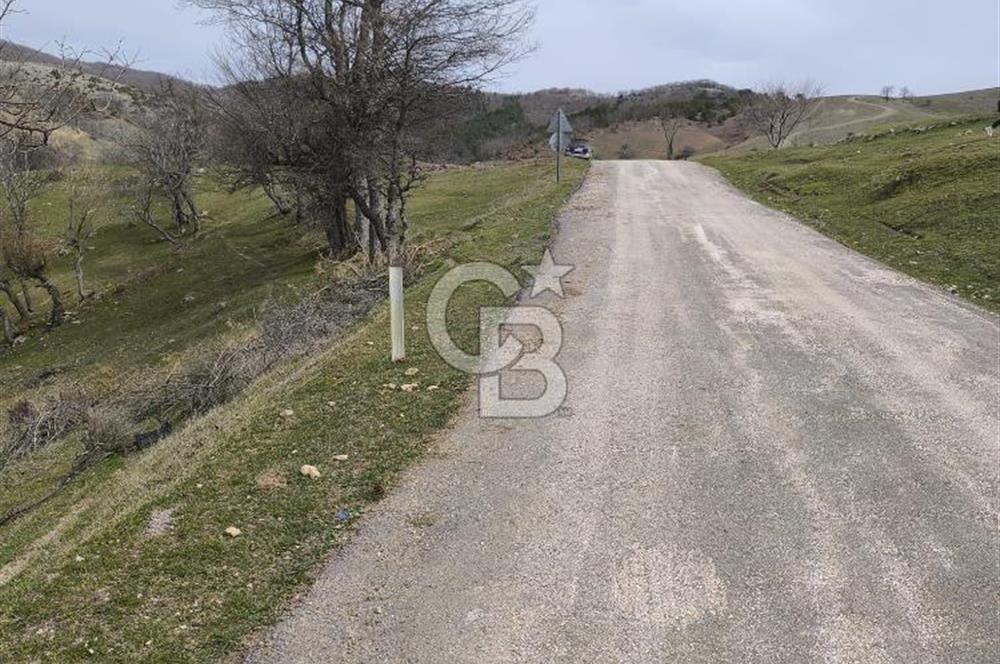 Bursa iznik İhsaniyede satılık tarla