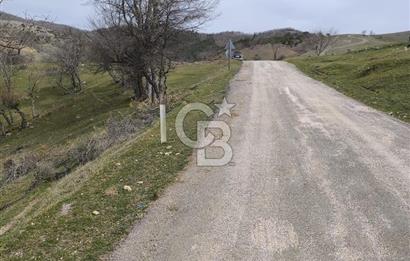 Bursa iznik İhsaniyede satılık tarla