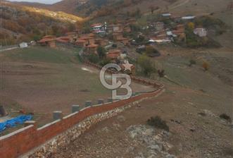 Bursa iznik İhsaniyede satılık tarla - 4 - 357913