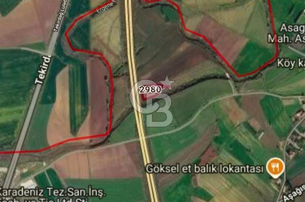 TEKİRDAĞ MURATLI'DA SATILIK FIRSAT TARLA!!!