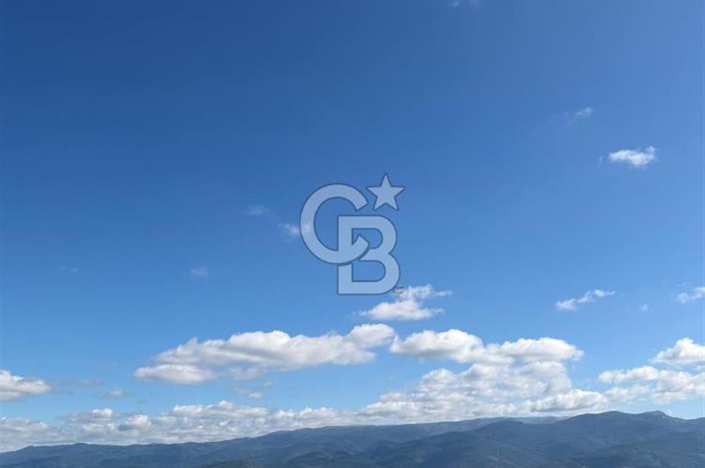 ÇANAKKALE - BAYRAMİÇ - SARIOT’TA 7300 M2 ARSA