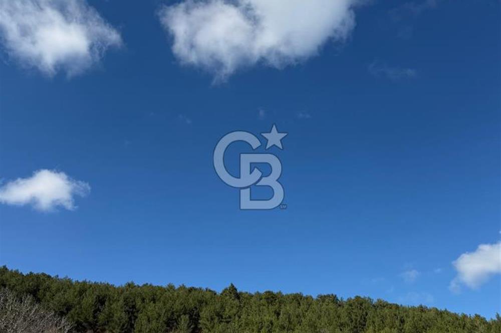 ÇANAKKALE - BAYRAMİÇ - SARIOT’TA 7300 M2 ARSA