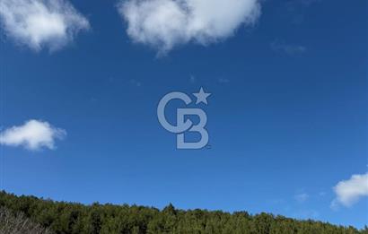 ÇANAKKALE - BAYRAMİÇ - SARIOT’TA 7300 M2 ARSA