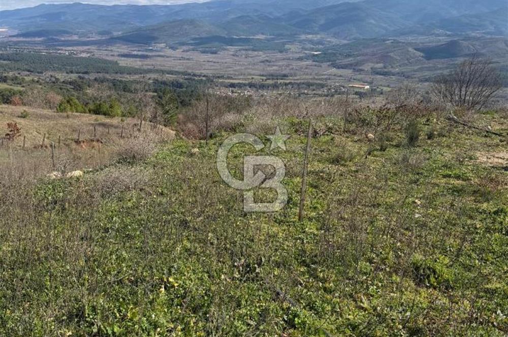 ÇANAKKALE - BAYRAMİÇ - SARIOT’TA 7300 M2 ARSA