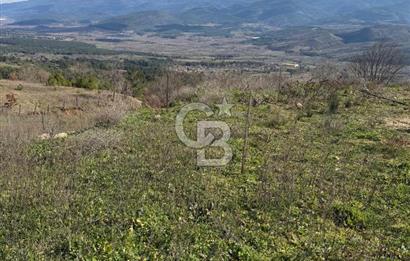 ÇANAKKALE - BAYRAMİÇ - SARIOT’TA 7300 M2 ARSA