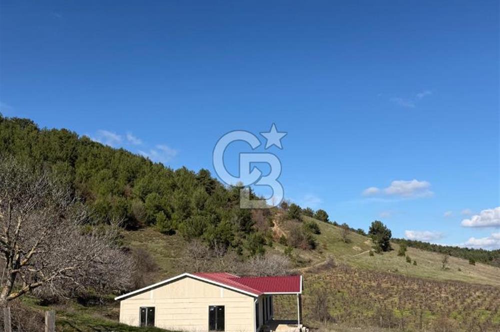 ÇANAKKALE - BAYRAMİÇ - SARIOT’TA 7300 M2 ARSA
