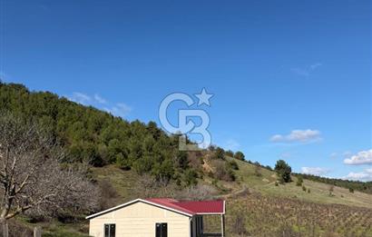 ÇANAKKALE - BAYRAMİÇ - SARIOT’TA 7300 M2 ARSA