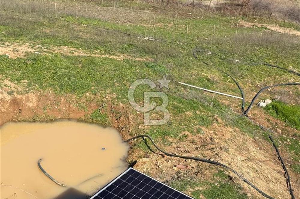 ÇANAKKALE - BAYRAMİÇ - SARIOT’TA 7300 M2 ARSA