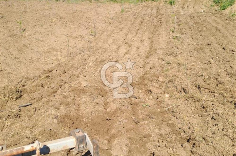 ÇANAKKALE - BAYRAMİÇ - SARIOT’TA 7300 M2 ARSA