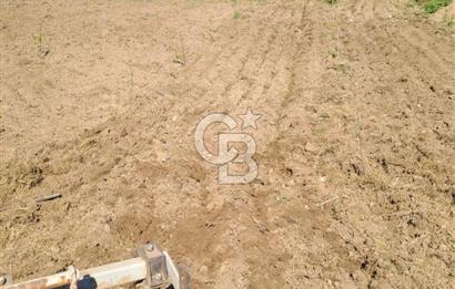 ÇANAKKALE - BAYRAMİÇ - SARIOT’TA 7300 M2 ARSA