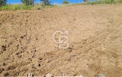 ÇANAKKALE - BAYRAMİÇ - SARIOT’TA 7300 M2 ARSA