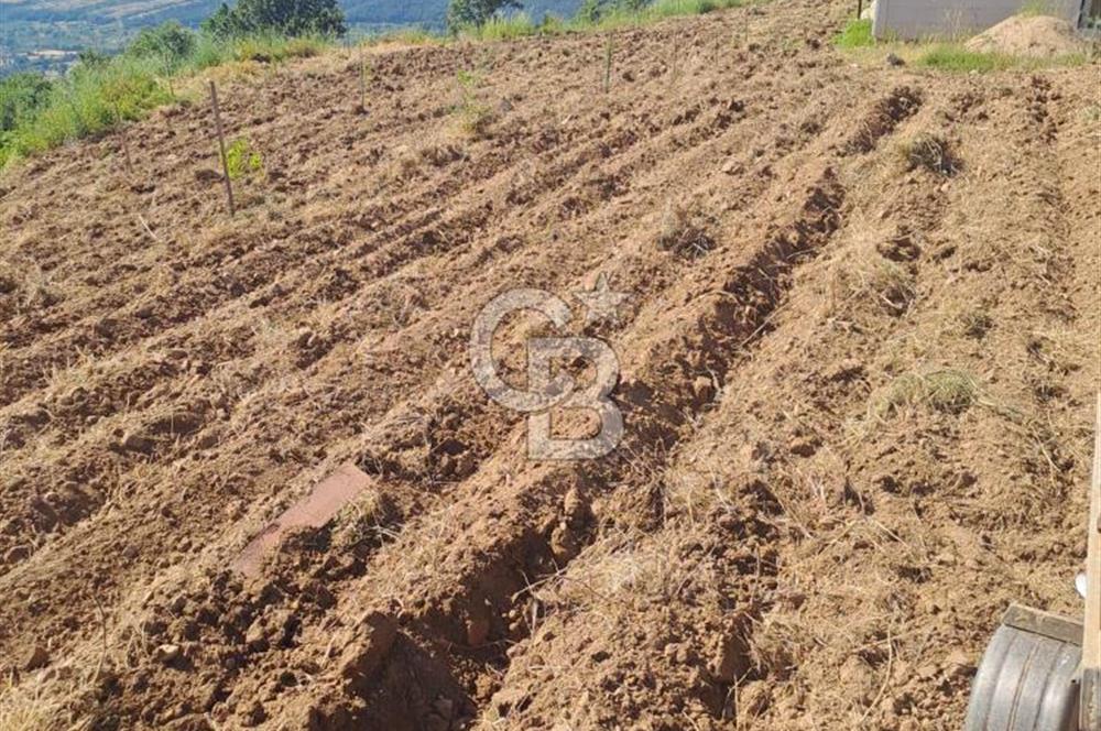 ÇANAKKALE - BAYRAMİÇ - SARIOT’TA 7300 M2 ARSA