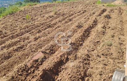ÇANAKKALE - BAYRAMİÇ - SARIOT’TA 7300 M2 ARSA