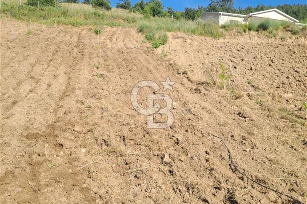 ÇANAKKALE - BAYRAMİÇ - SARIOT’TA 7300 M2 ARSA