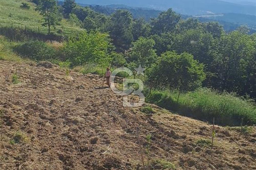 ÇANAKKALE - BAYRAMİÇ - SARIOT’TA 7300 M2 ARSA