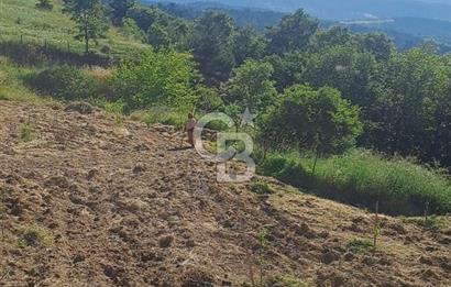 ÇANAKKALE - BAYRAMİÇ - SARIOT’TA 7300 M2 ARSA