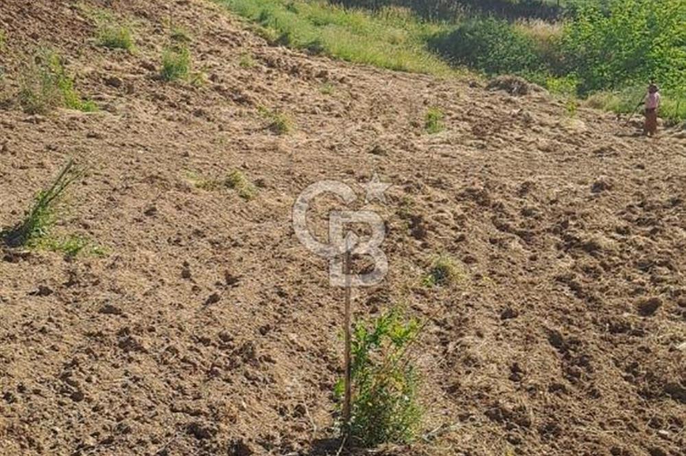 ÇANAKKALE - BAYRAMİÇ - SARIOT’TA 7300 M2 ARSA
