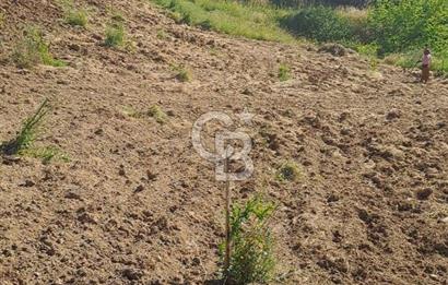ÇANAKKALE - BAYRAMİÇ - SARIOT’TA 7300 M2 ARSA