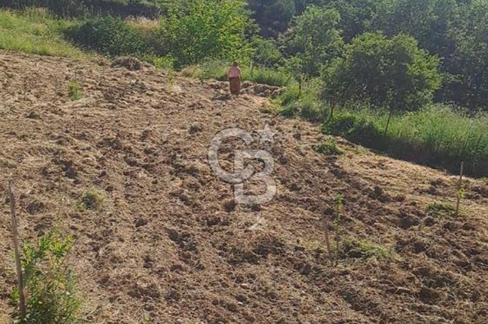 ÇANAKKALE - BAYRAMİÇ - SARIOT’TA 7300 M2 ARSA