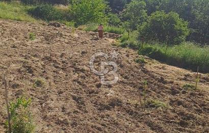 ÇANAKKALE - BAYRAMİÇ - SARIOT’TA 7300 M2 ARSA