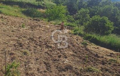 ÇANAKKALE - BAYRAMİÇ - SARIOT’TA 7300 M2 ARSA
