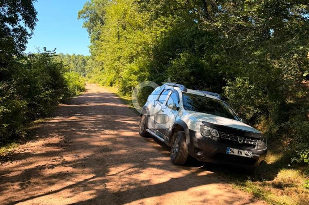 HENDEK PAŞAKÖYDE SATILIK YOLA CEPHELİ VERİMLİ FINDIK BAHÇESİ