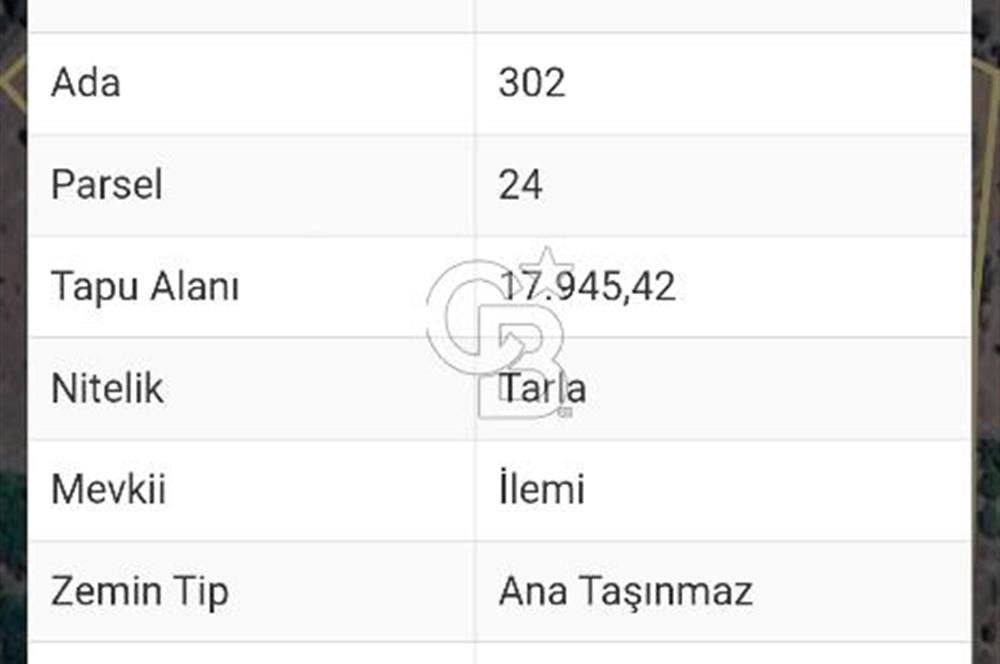 Balıkesir Sındırgı Mumcu köyü 17945 m2 tarla