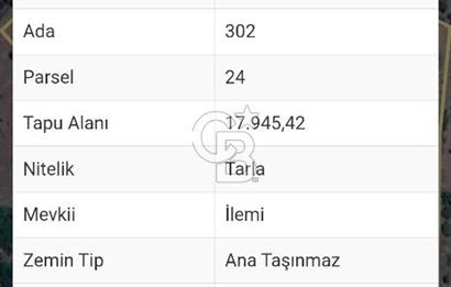 Balıkesir Sındırgı Mumcu köyü 17945 m2 tarla