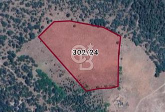 Balıkesir Sındırgı Mumcu köyü 17945 m2 tarla - 2 - 357928