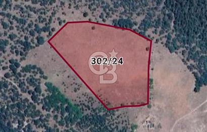 Balıkesir Sındırgı Mumcu köyü 17945 m2 tarla