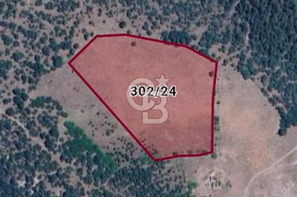 Balıkesir Sındırgı Mumcu köyü 17945 m2 tarla