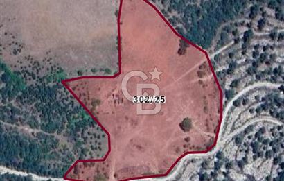 Balıkesir Sındırgı Mumcu köyü 27285 m2 tarla