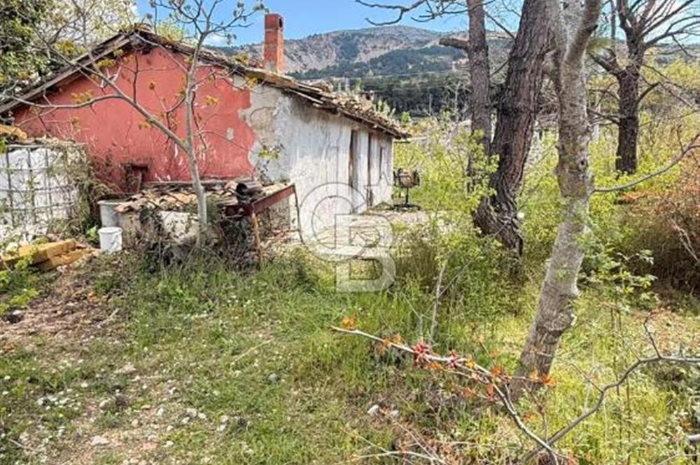 EVONADAN MANİSA YUNUSEMRE TURGUTALP SATILIK KİRAZ BAHÇESİ