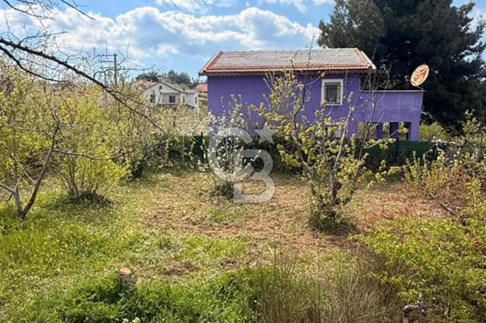 EVONADAN MANİSA YUNUSEMRE TURGUTALP SATILIK KİRAZ BAHÇESİ