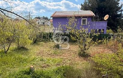 EVONADAN MANİSA YUNUSEMRE TURGUTALP SATILIK KİRAZ BAHÇESİ