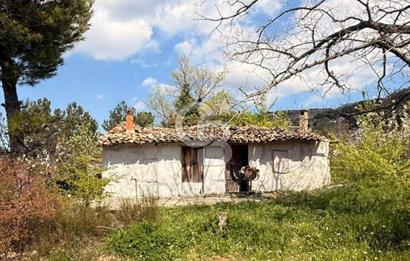 EVONADAN MANİSA YUNUSEMRE TURGUTALP SATILIK KİRAZ BAHÇESİ