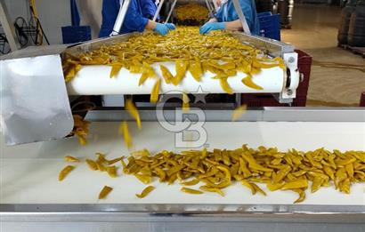 EVONADAN SARUHANLI'DA BRCGS SERTİFİKALI ÜRETİM TESİSİ VE DEPO
