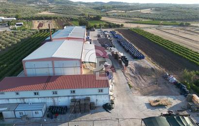 EVONADAN SARUHANLI'DA BRCGS SERTİFİKALI ÜRETİM TESİSİ VE DEPO