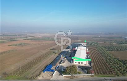 EVONADAN SARUHANLI'DA BRCGS SERTİFİKALI ÜRETİM TESİSİ VE DEPO