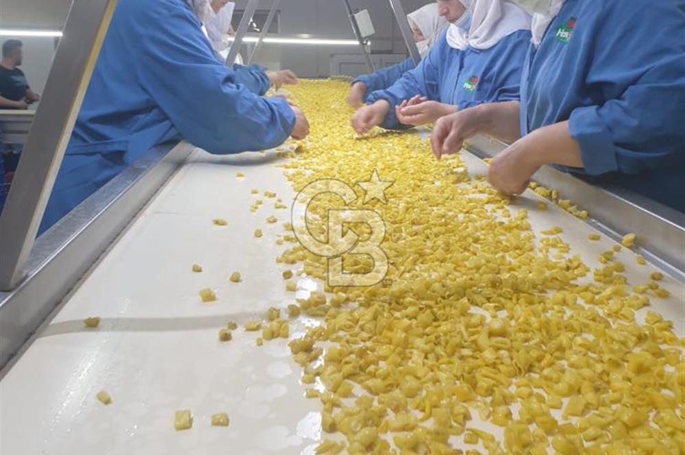 EVONADAN SARUHANLI'DA BRCGS SERTİFİKALI ÜRETİM TESİSİ VE DEPO