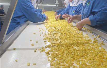 EVONADAN SARUHANLI'DA BRCGS SERTİFİKALI ÜRETİM TESİSİ VE DEPO