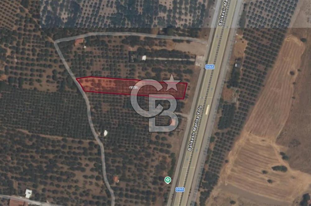 EVONADAN MANİSA AKHİSAR SEYİTAHMET MH. 4.495M2 SATILIK DAMLI BAĞ
