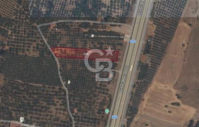 EVONADAN MANİSA AKHİSAR SEYİTAHMET MH. 4.495M2 SATILIK DAMLI BAĞ