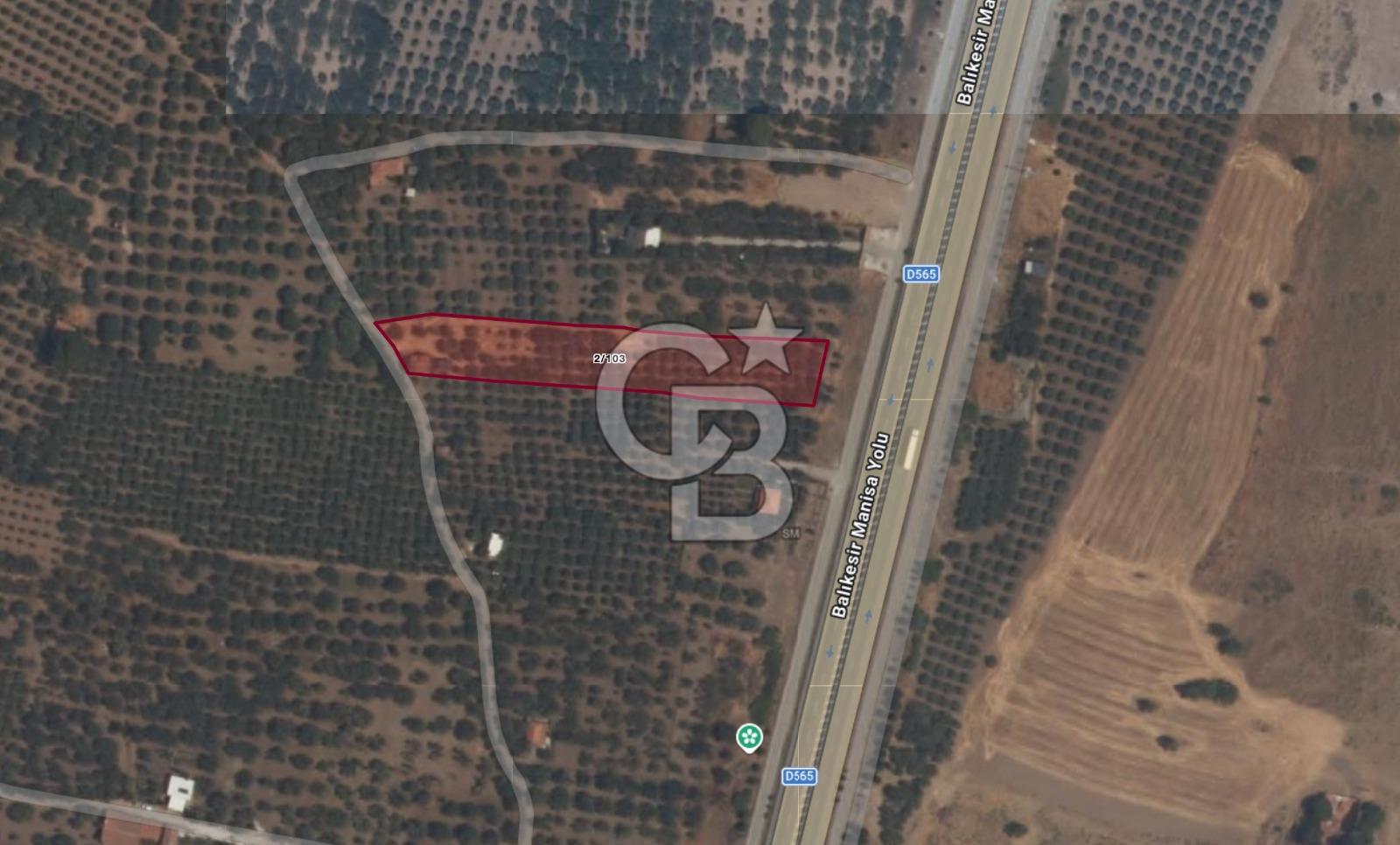 EVONADAN MANİSA AKHİSAR SEYİTAHMET MH. 4.495M2 SATILIK DAMLI BAĞ