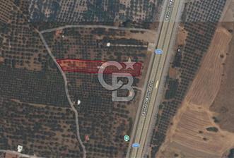 EVONADAN MANİSA AKHİSAR SEYİTAHMET MH. 4.495M2 SATILIK DAMLI BAĞ - 1 - 357934