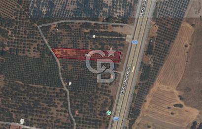 EVONADAN MANİSA AKHİSAR SEYİTAHMET MH. 4.495M2 SATILIK DAMLI BAĞ