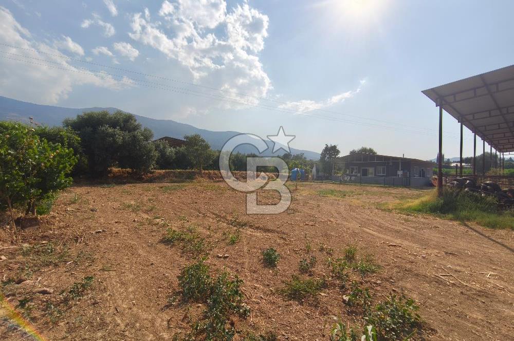 ÖDEMİŞ'TE İMARLI ALANA KOMŞU SATILIK 5900 m² MÜSTAKİL ÇİFTLİK Favorilerime Ekle Yazdır