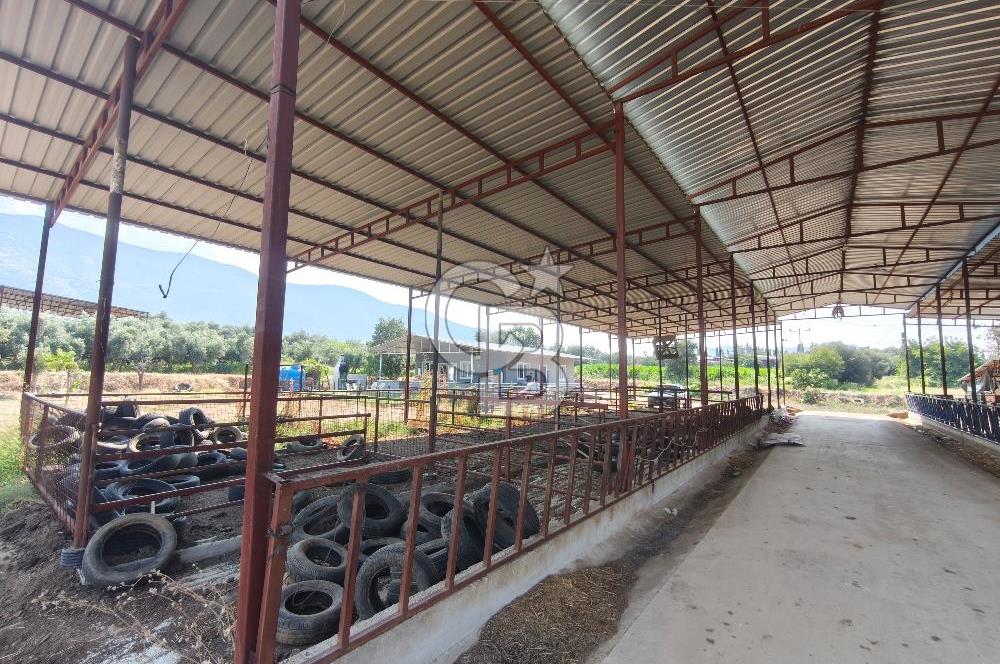 ÖDEMİŞ'TE İMARLI ALANA KOMŞU SATILIK 5900 m² MÜSTAKİL ÇİFTLİK Favorilerime Ekle Yazdır